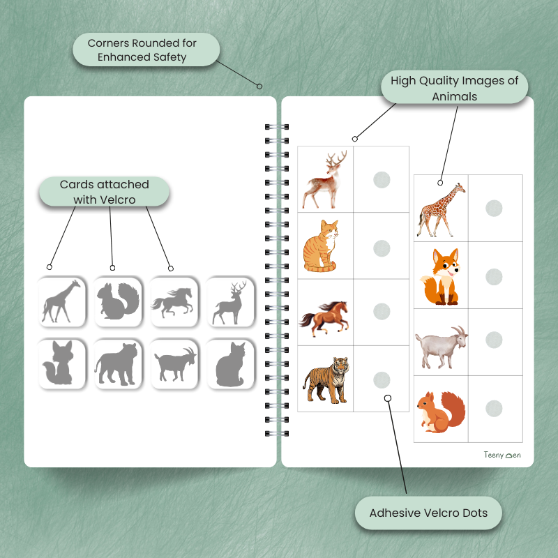 Do Sheets for Toddlers (Ages 1–3+) – Hands-On Activity Packs to Build Brain, Motor & Focus Skills