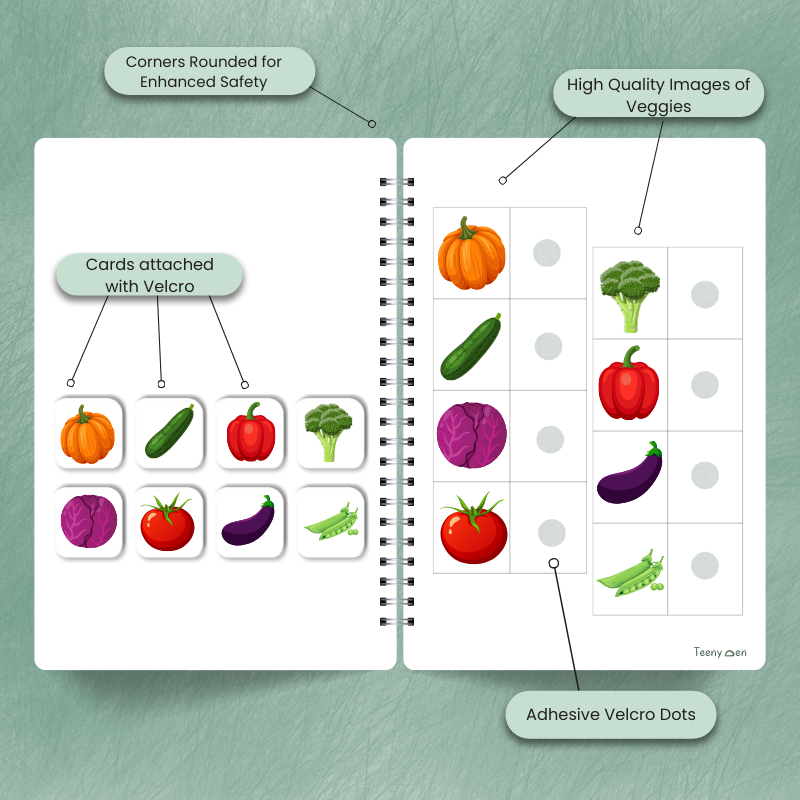 Do Sheets for Toddlers (Ages 1–3+) – Hands-On Activity Packs to Build Brain, Motor & Focus Skills